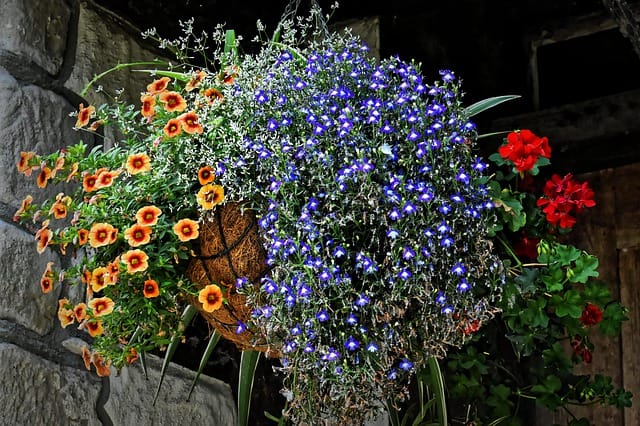 Blumenampel als sommerliche Dekoration für Feste