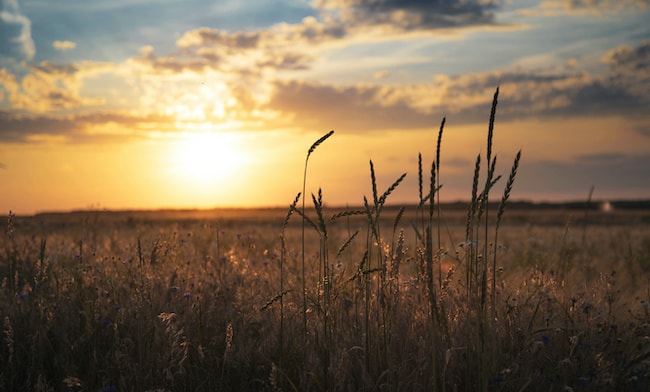 Lughnasadh