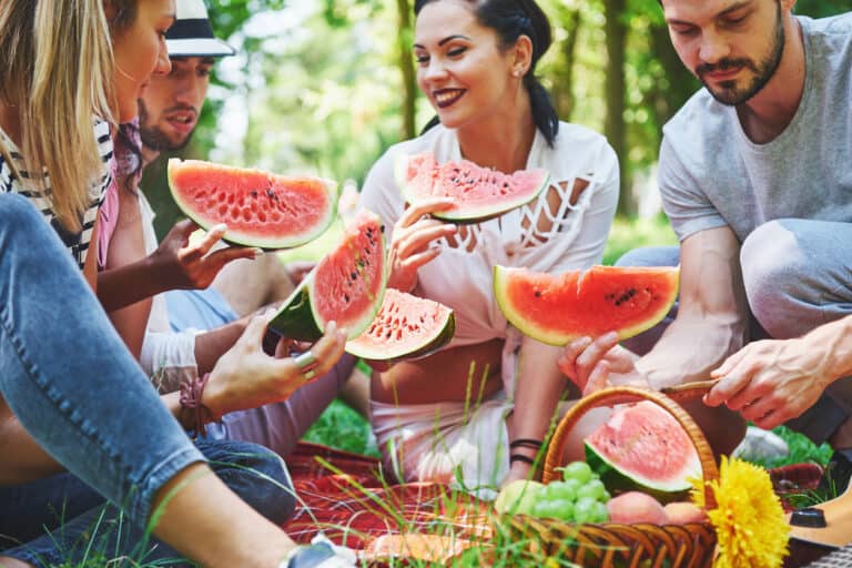 Picknick mit Freunden