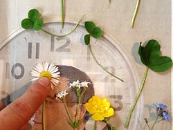Mit Blumen gestalten