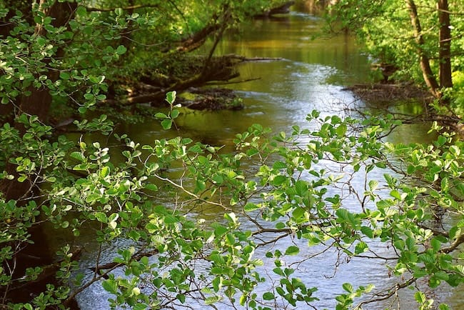 Kajak fahren auf dem Fluss